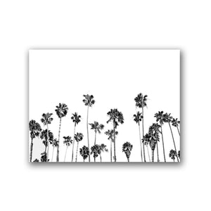 Surf Wall Art Canvas Posters Prints Modern Photography Palm Tree Painting Black and White Picture Beach House Wall Art Decor